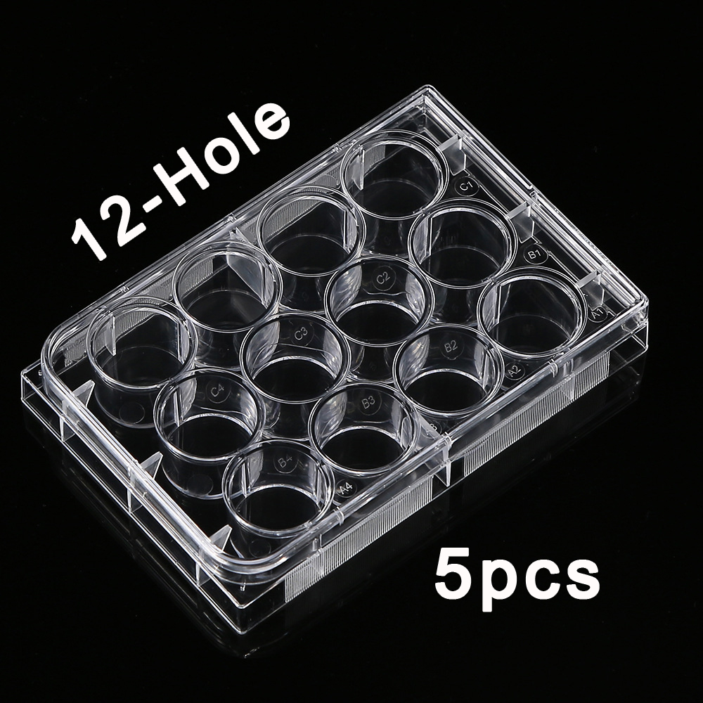5Pcs Polystyrene 12 Well Petri – обзор и цена Medical Wellness & Spa Werona